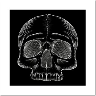 Skull sketch Posters and Art